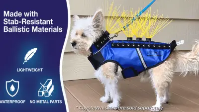 Best 3 Coyote Vests For Complete Protection Of Your Dog