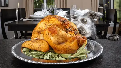 Can You Share Turkey Bones With Your Dog?